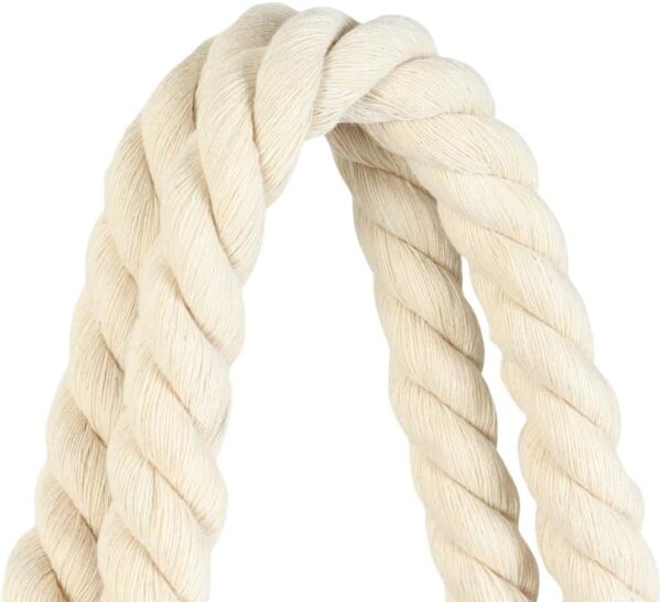 Billabong Tote Bag Cotton Canvas Mini Beach Bag Women-5