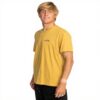 Billabong Mens Arch Wave T-Shirt Cotton Crew Neck Design