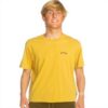 Billabong Mens Arch Wave T-Shirt Cotton Crew Neck Design