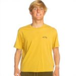 Billabong Mens Arch Wave T-Shirt Cotton Crew Neck Design