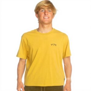 Billabong Mens Arch Wave T-Shirt Cotton Crew Neck Design