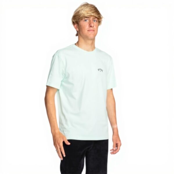 Billabong Mens Arch Wave T-Shirt Cotton Crew Neck
