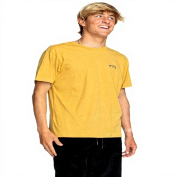 Billabong Mens Arch Wave T-Shirt Cotton Crew Neck Design