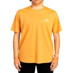 Quiksilver Mens Arch Crew Sweatshirt Knit Crew Neck