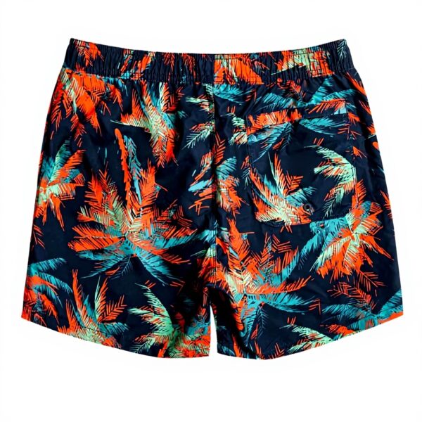 Quiksilver Mens Shorts Navy Jams EBYJV00119