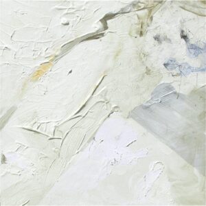 Pavo Monitor Arm Ergonomic Aluminum Desk Mount for-0