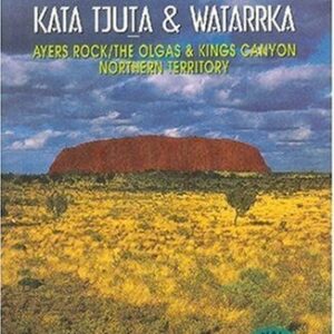 Pavo Monitor Arm Ergonomic Aluminum Desk Mount for-0