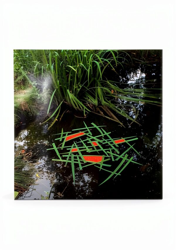 Yorkshire Sculpture Park Art Book English 66 Pages-0