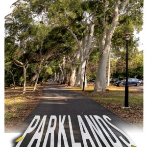 Burt Surmon Contemporary Fiction Book English Literature-0