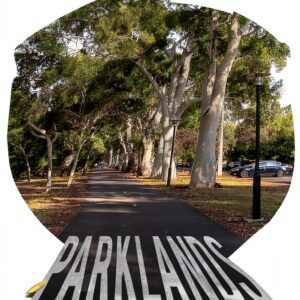 Burt Surmon Friendship Book Urban Life Fiction English-0