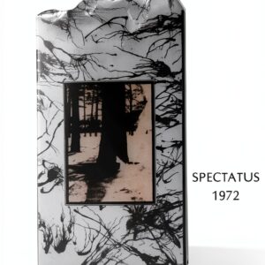 Pavo Monitor Arm Ergonomic Aluminum Adjustable Desk Mount