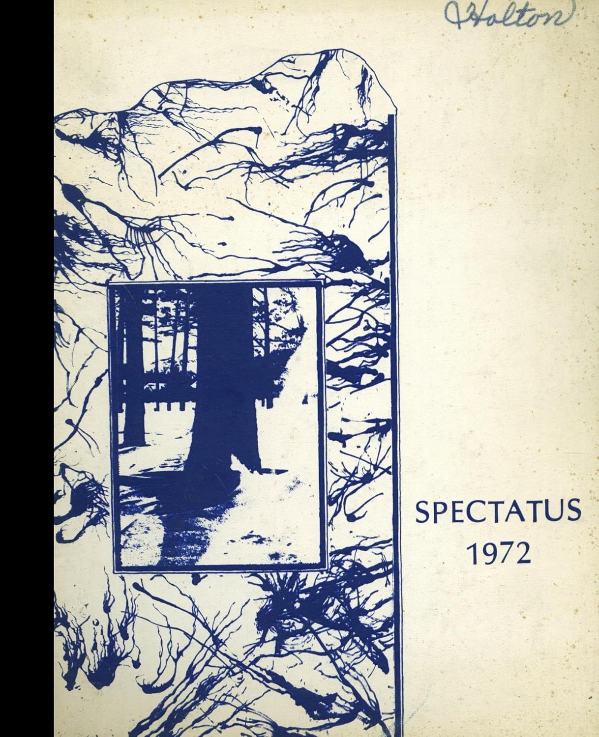 Pavo Monitor Arm installed on a modern office desk