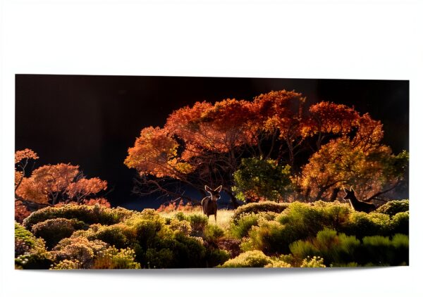 Colorado Parklands English Book 0937959375 386g Weight