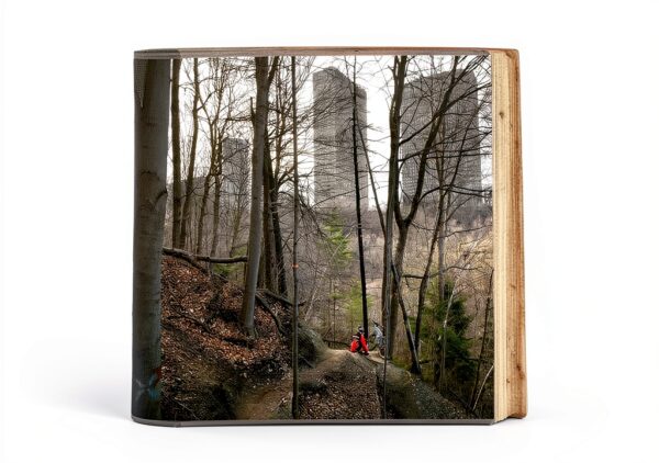 An Enduring Wilderness Toronto Natural Parklands Book Botany