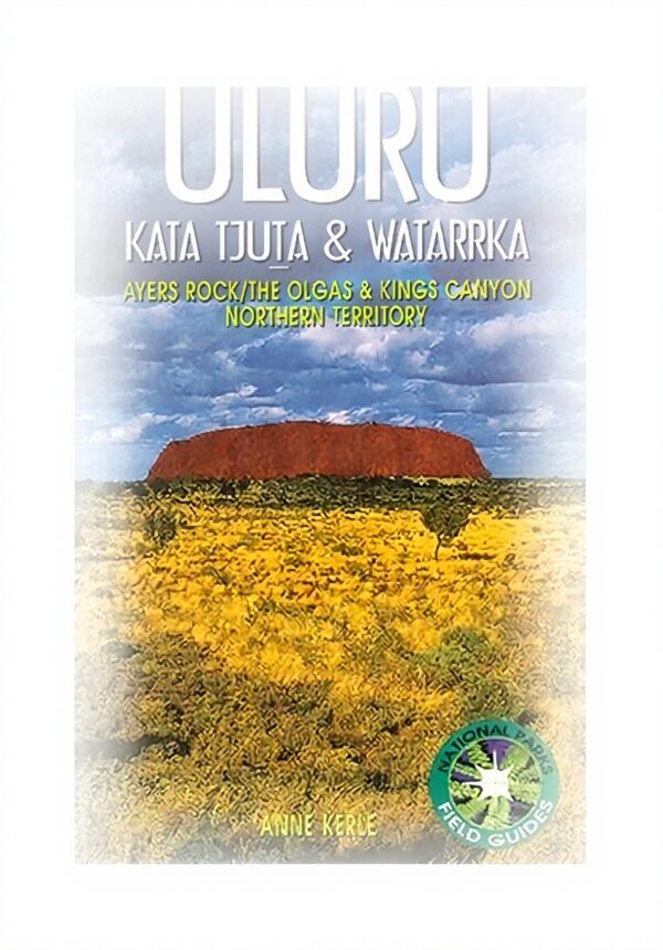 Pavo Monitor Arm Ergonomic Aluminum Desk Mount for