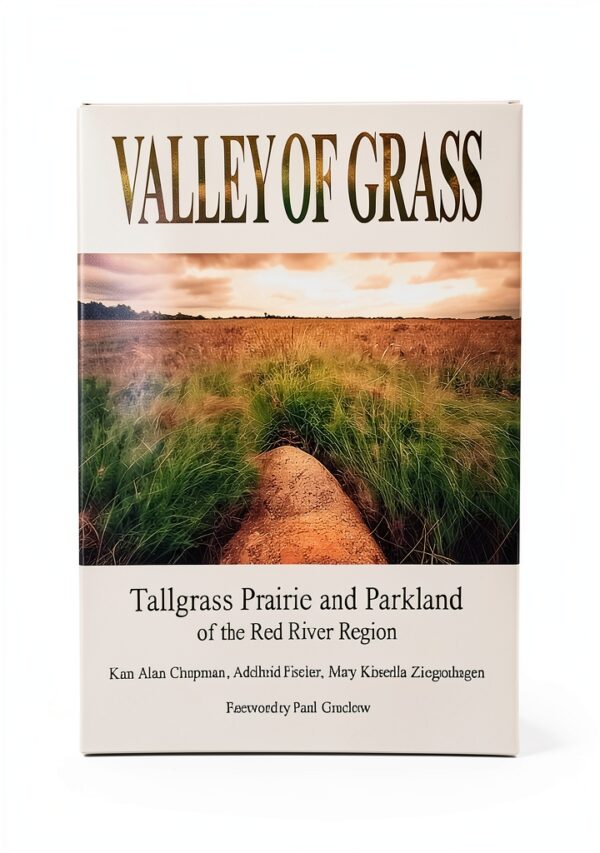 Pavo Monitor Arm Ergonomic Aluminum Desk Mount Stand