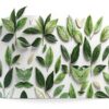 OAROK Mint Gray Leaf Scarf Polyester Tassel Unisex Adult-4